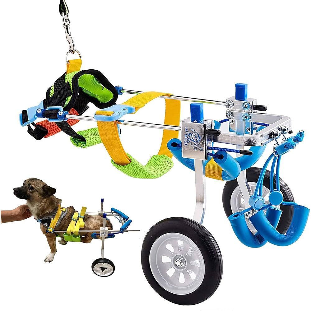 Wheel Chair